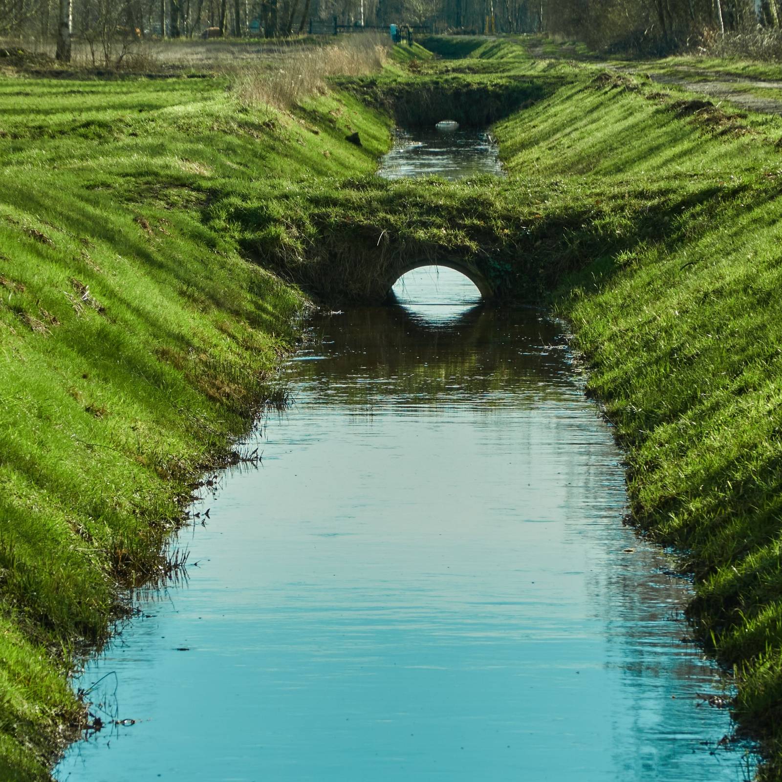 Ditching Real Ditch Landscaping Ideas