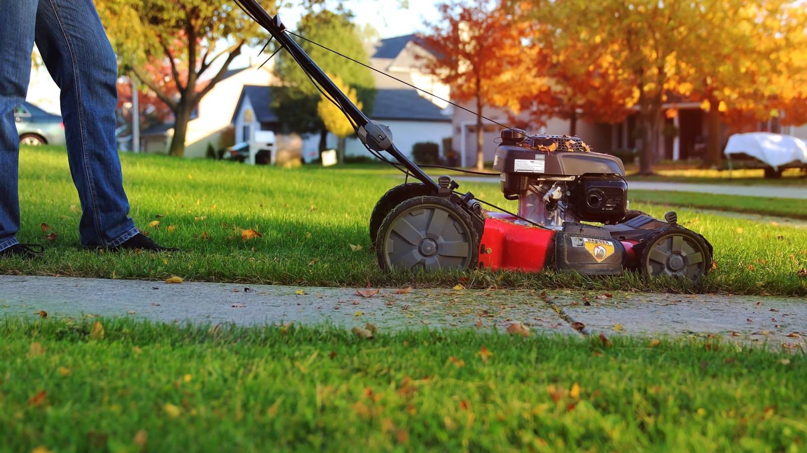 Prepare for Cozy Nights: 7 Fall Lawn Projects to Tackle