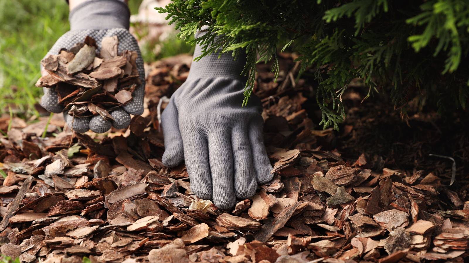 How to Dispose of Fall Yard Waste