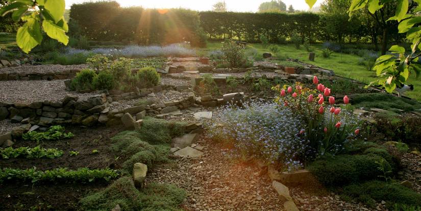 Ancient Gardening Techniques: See How They Help Your Vegetable Garden