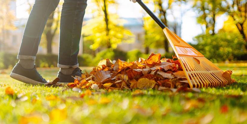 Raking Spring Clean Up Fall Garden Cleanup Essentials: Do’s and Don’ts for an Inviting Space
