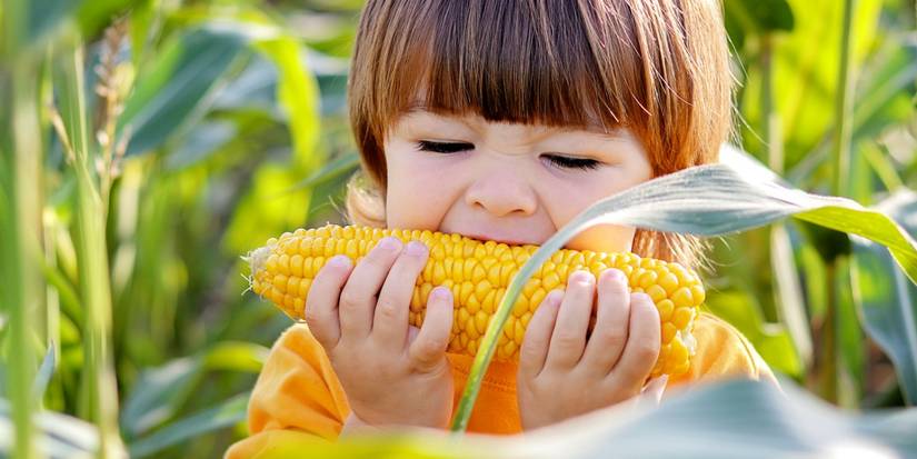 Grow Your Own Garden Ingredients for 5 Cookout Dishes