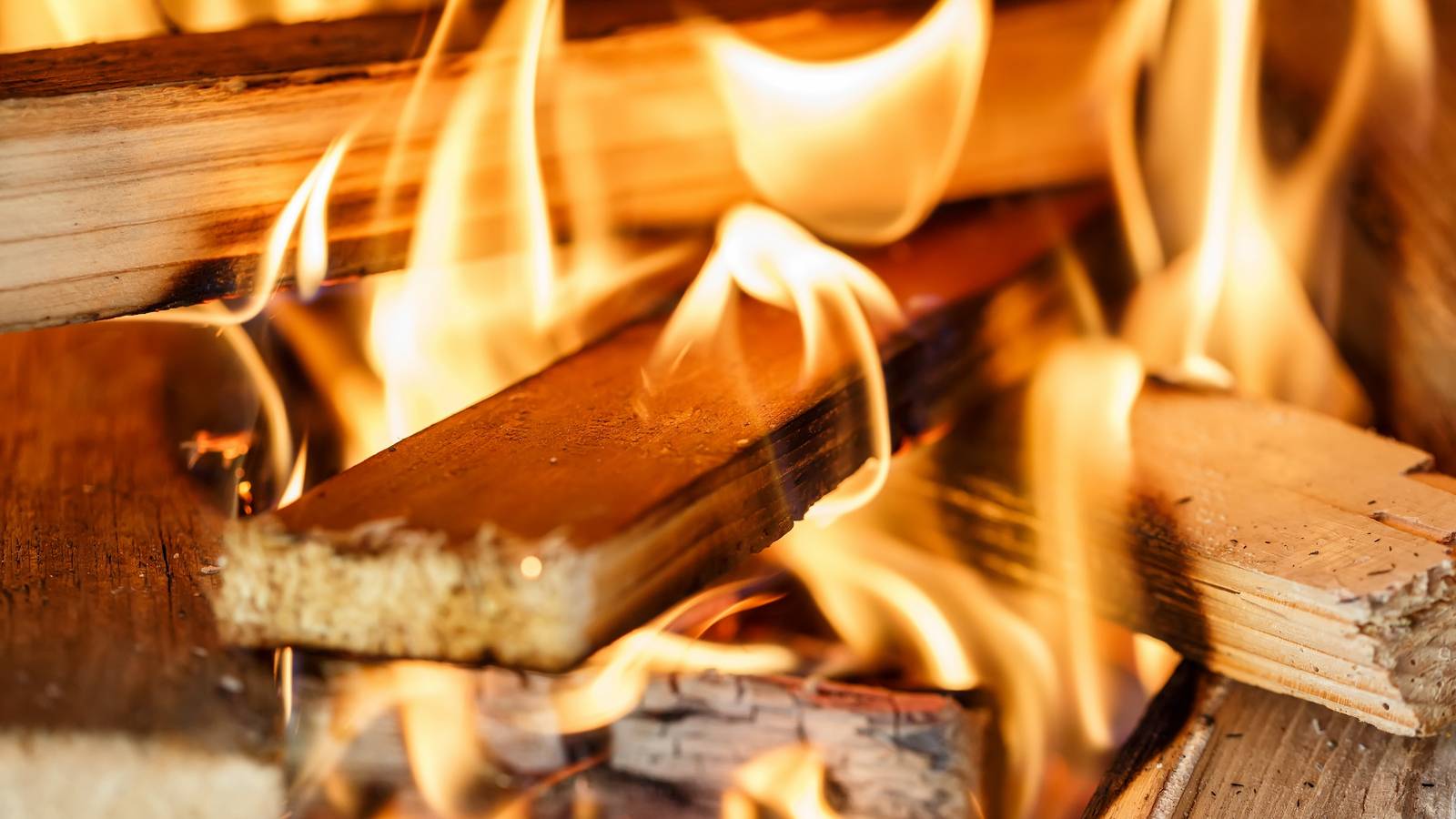 Can You Burn Elm Wood in a Fireplace: Essential Facts Revealed