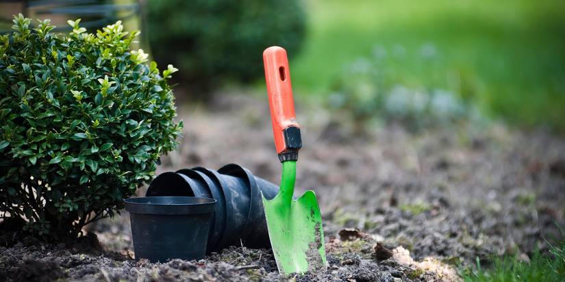 Garden Hand Tools: 5 Hand Tools Necessary for Plant Care