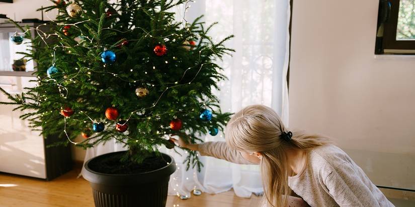 Use Pro Trips to Care For Your Potted Christmas Tree