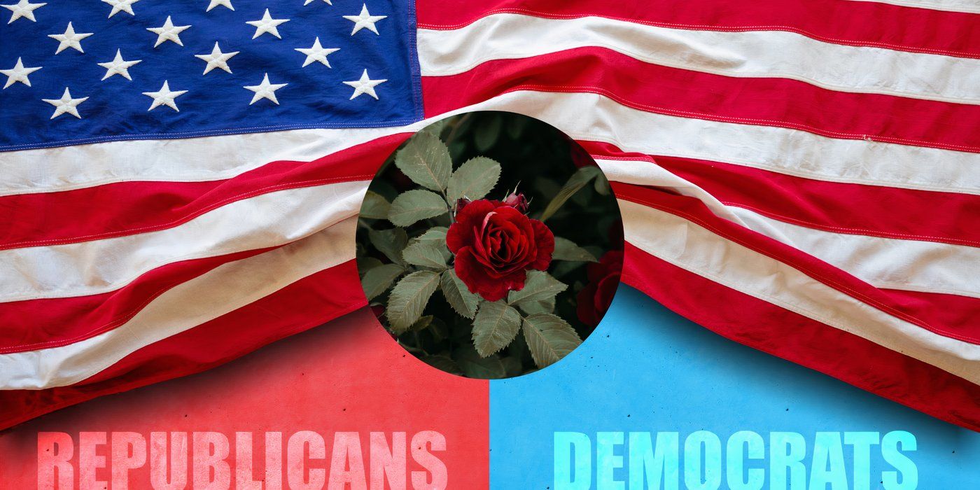 Flower Meanings and How They Impacted Politics