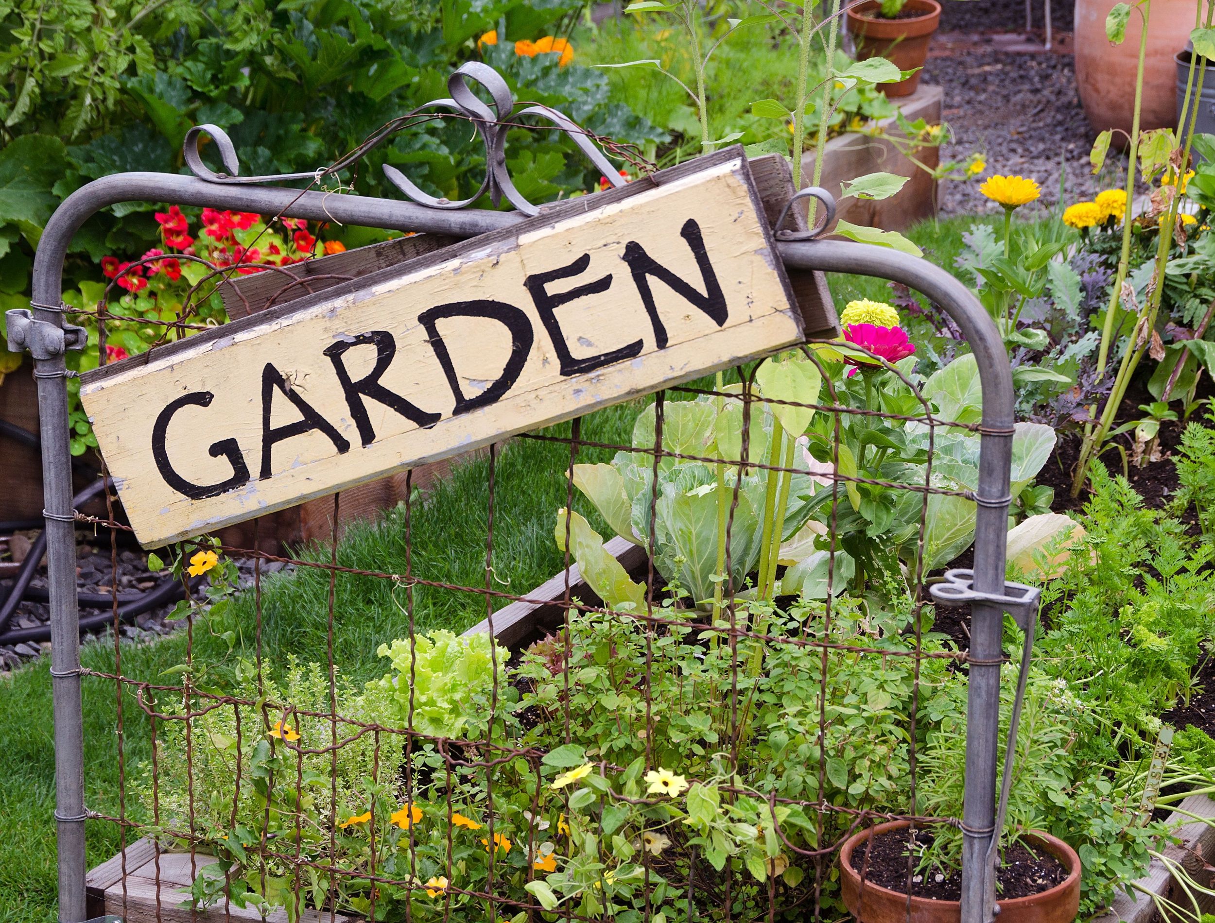 Garden Signage Explained: Essential Knowledge for Gardeners, image size:2500x1900