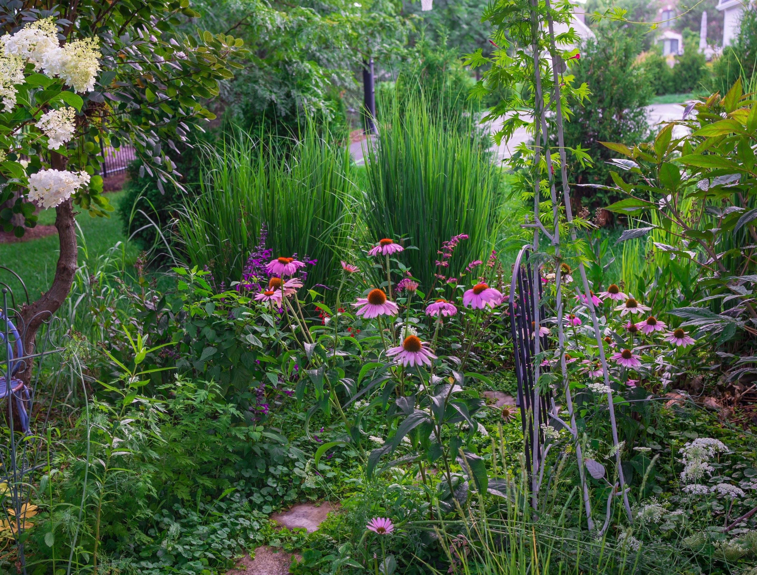 Transform Your Yard with Microclimate Gardens: Create Miniature ...