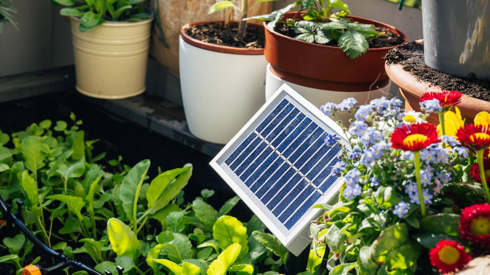 5 Bright Ideas for Solar-Powered DIY Garden Projects