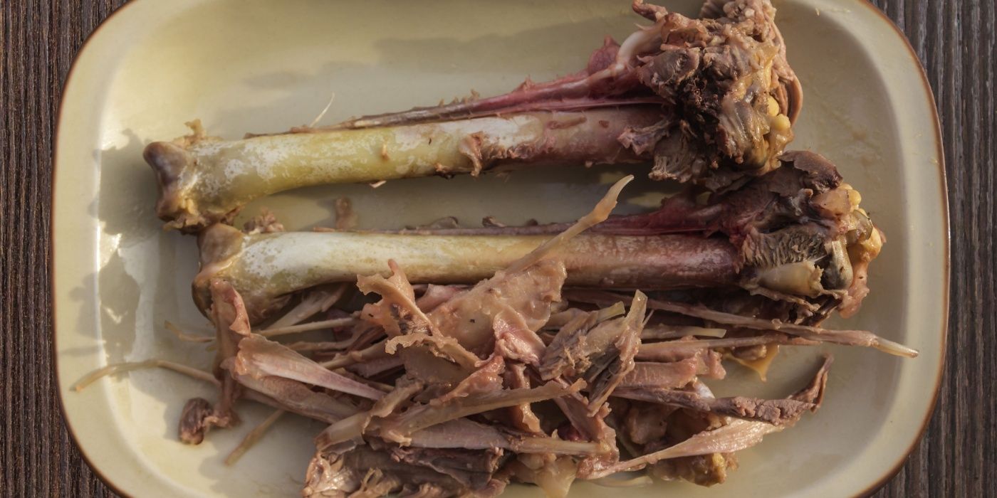 Turn Thanksgiving Leftovers Into Garden Gold With Composting Tips