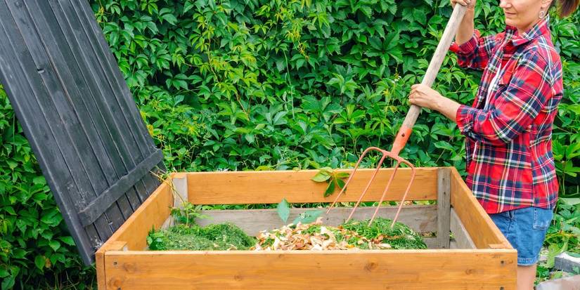 7 Inspiring Gardening Trends to Kick Off the Year