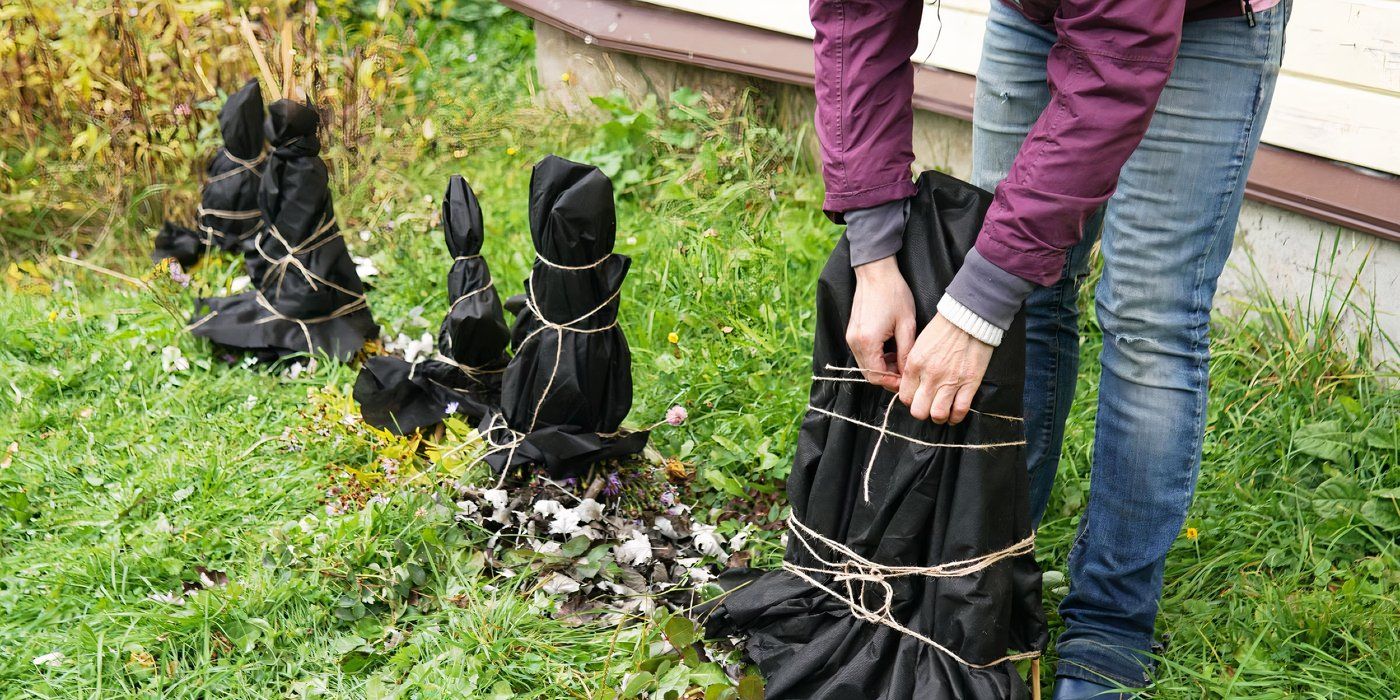 Snow in Spring? 5 Life-Saving Tricks to Shield Your Plants