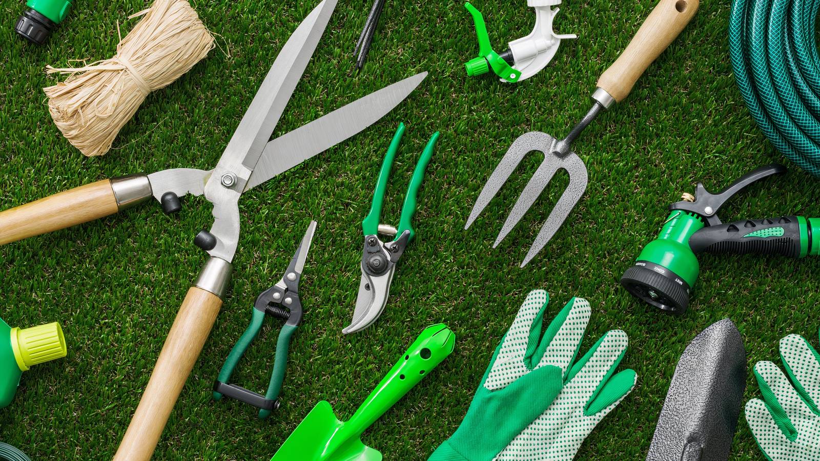 7 Must-Have Tools for a Thriving Winter Garden