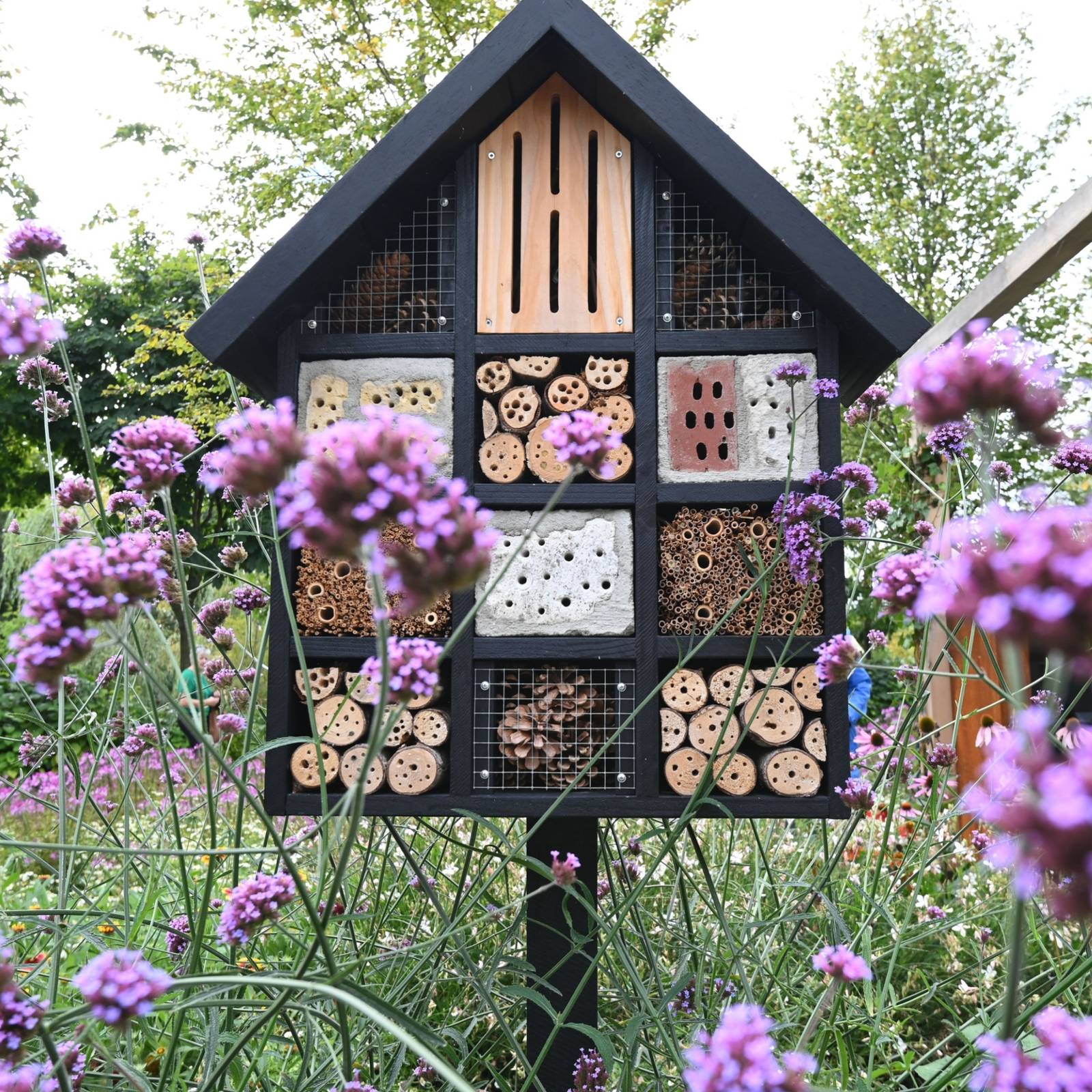 A DIY Guide to Attracting Pollinators to Your Garden, image size:1600x1600