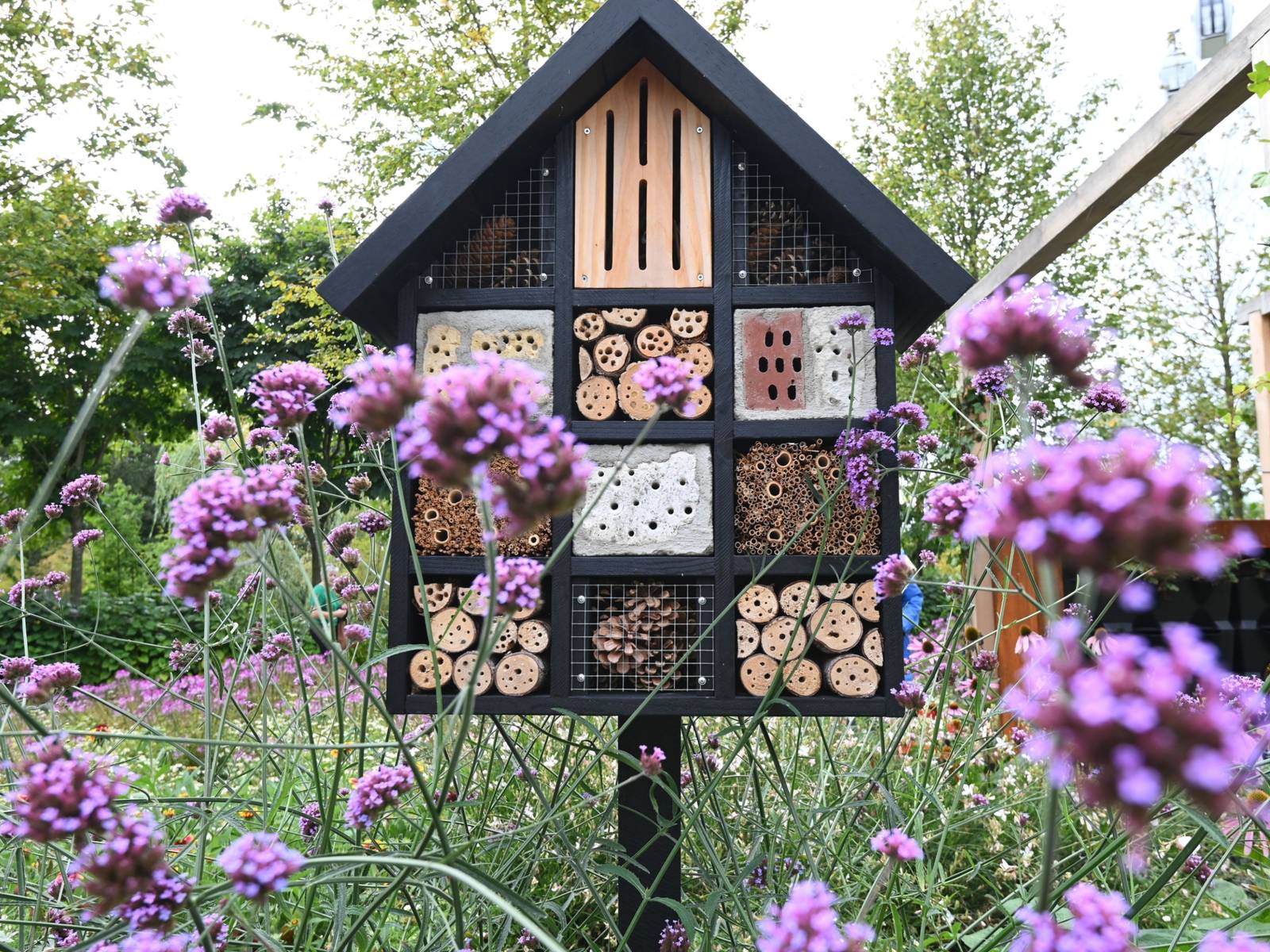 Building an Eco-Friendly Insect House: A Step-by-Step Guide to Creating ...