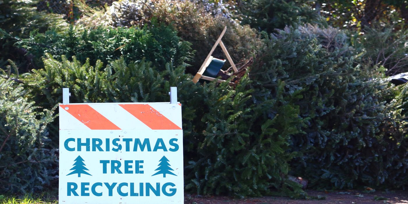 5 Creative Ways to Repurpose Your Christmas Greenery