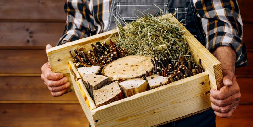 Build Your Own DIY Bug Hotels: 5 Fun Projects to Attract Garden Helpers