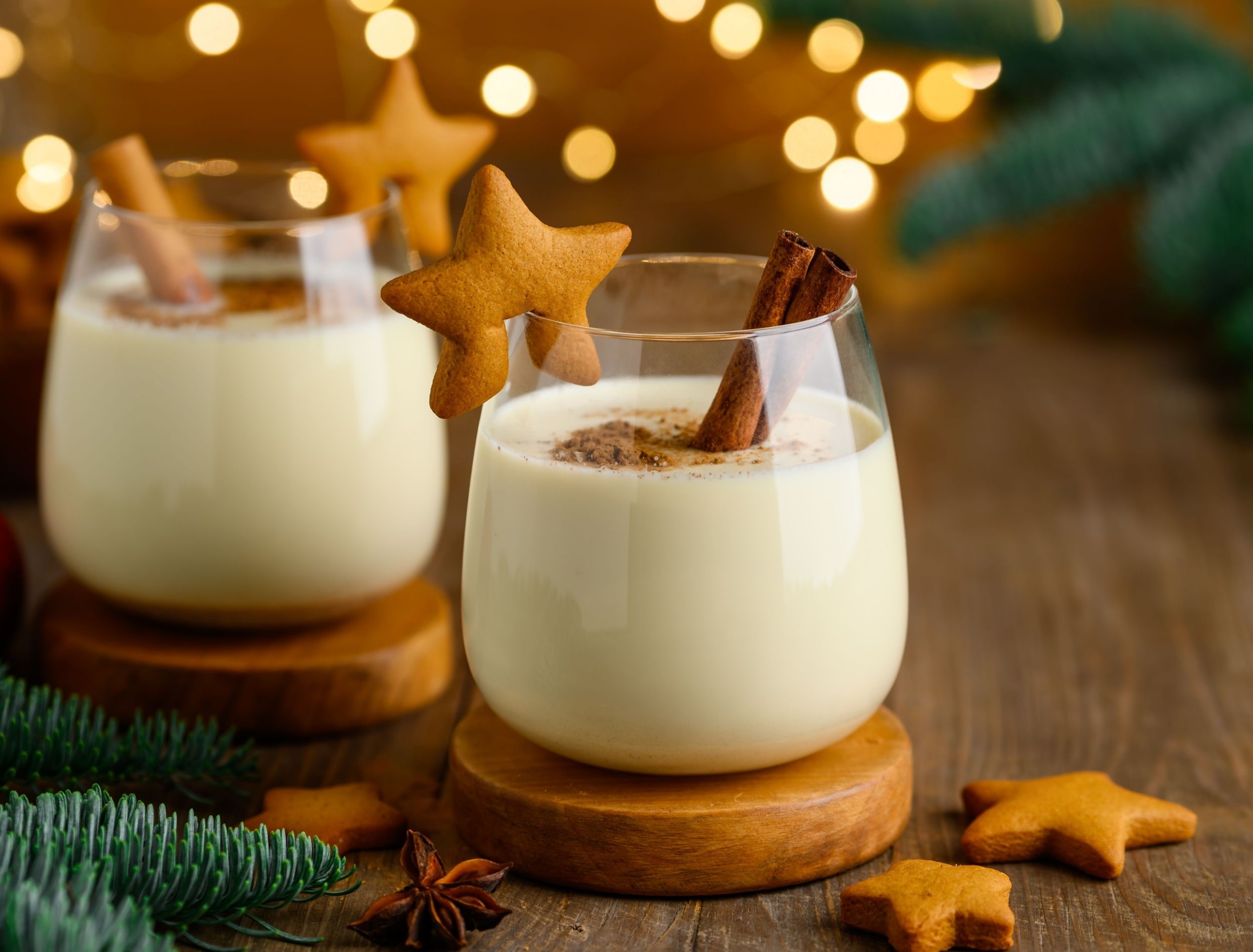 fresh-egg-nog-with-nutmeg.jpg?