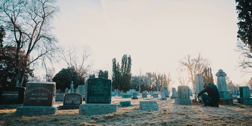 Rewilding Graveyards To Turn Them Into a Natural Landscape