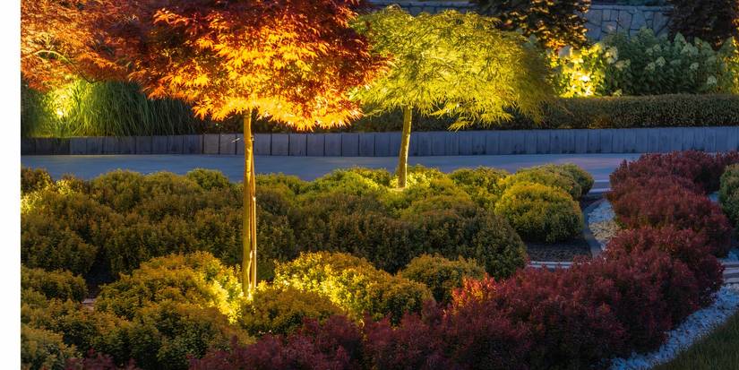 Transform Your Landscape with Vibrant Colored Lighting Techniques