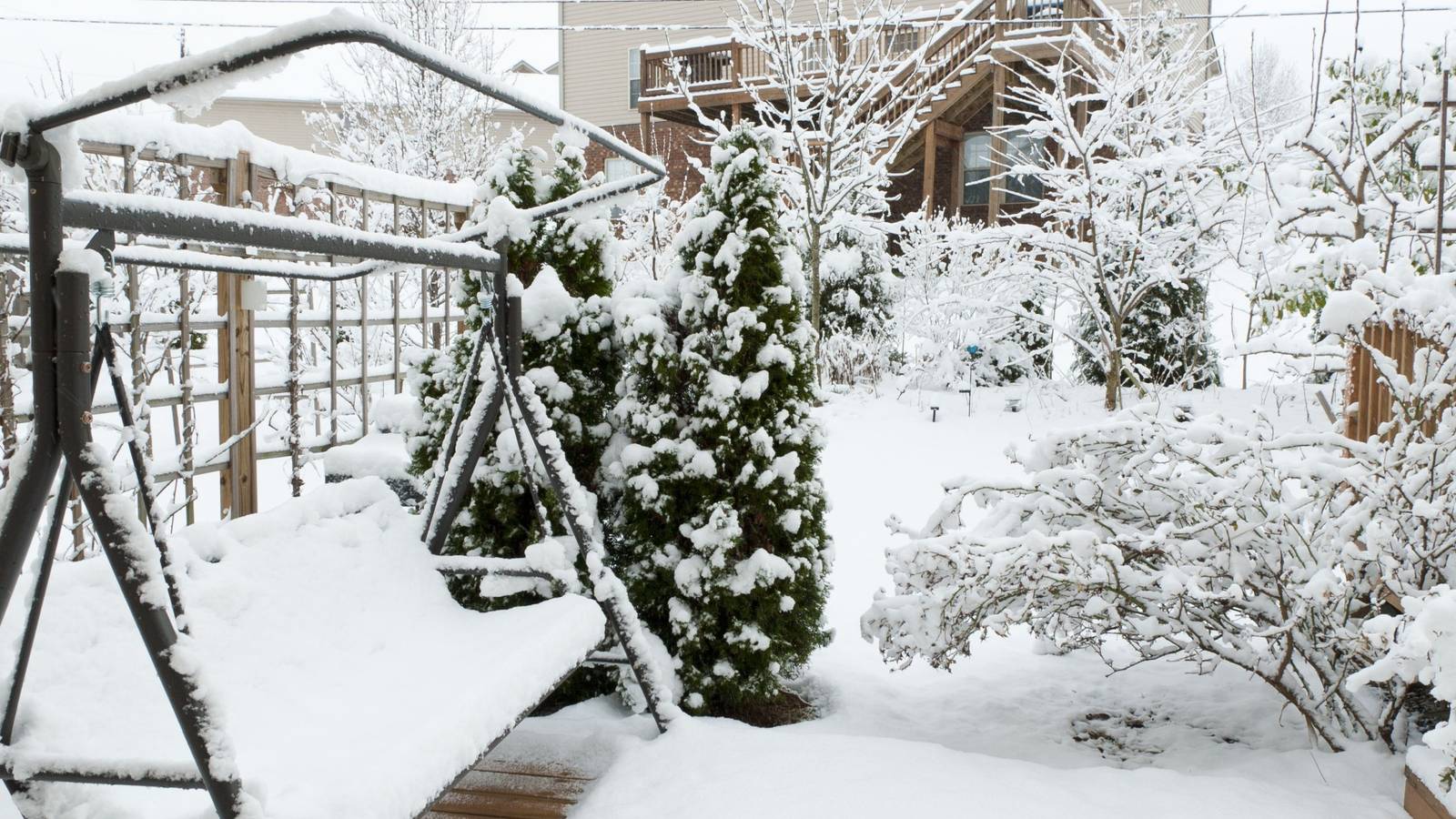 Winter Garden Care: Protect Plants Without Snow