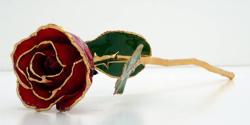 Dipped Roses: A Lasting Gift for Valentine's Day and Beyond