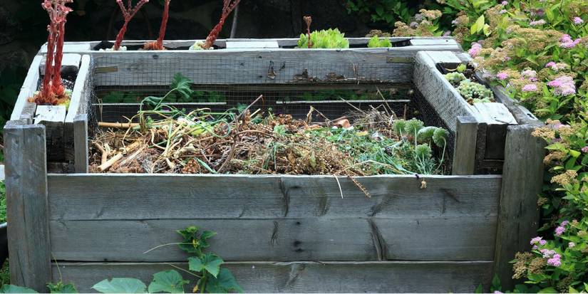 Hot or Cold Composting? Choose What Works for Your Space