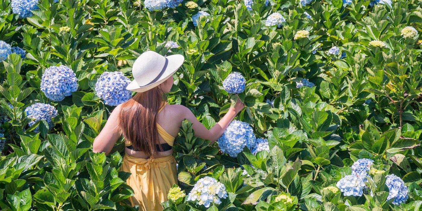 How to Gather Blooms the Right Way