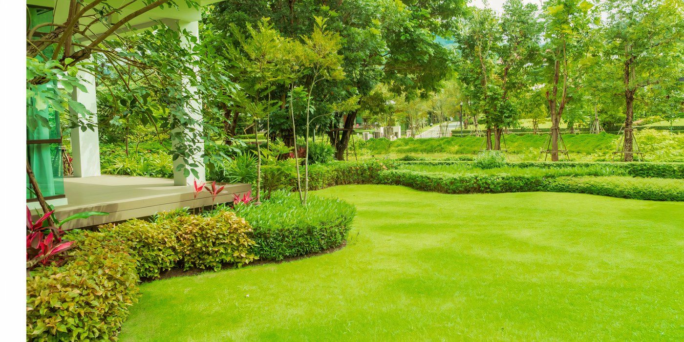 Proven Tips for a Beautiful and Productive Landscape