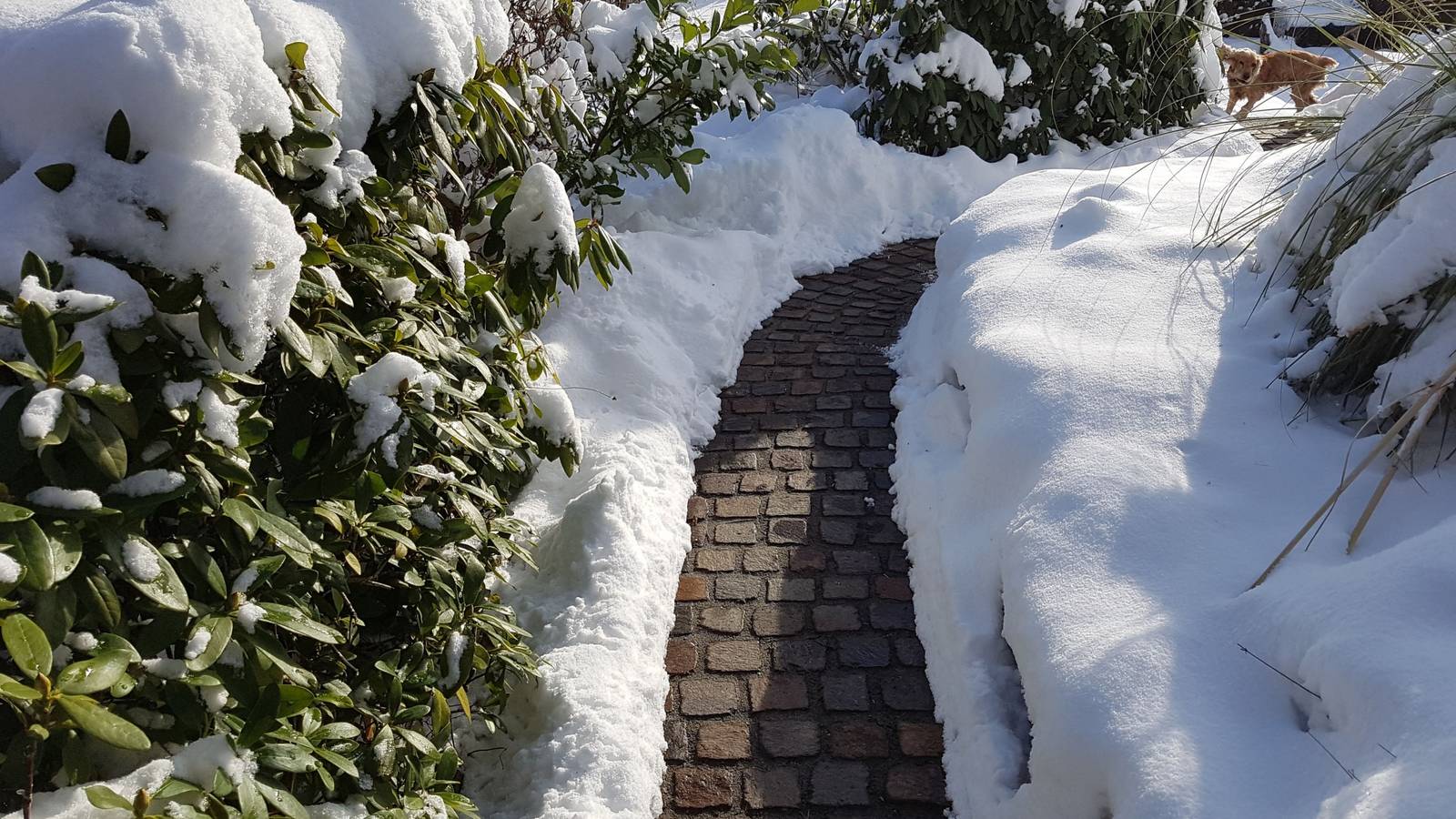 Will Heated Walkways Positively Impact Your Yard or Garden?