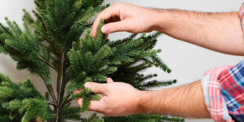 Comparing Real Christmas Trees Vs Artificial Christmas Trees