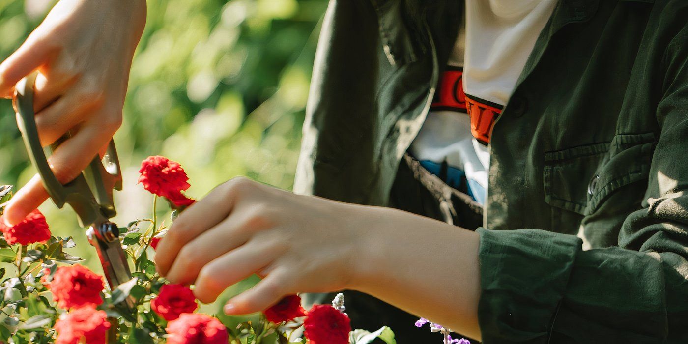 The Ultimate Guide to Pruning Roses: 5 Pro Tips for Stunning Blooms