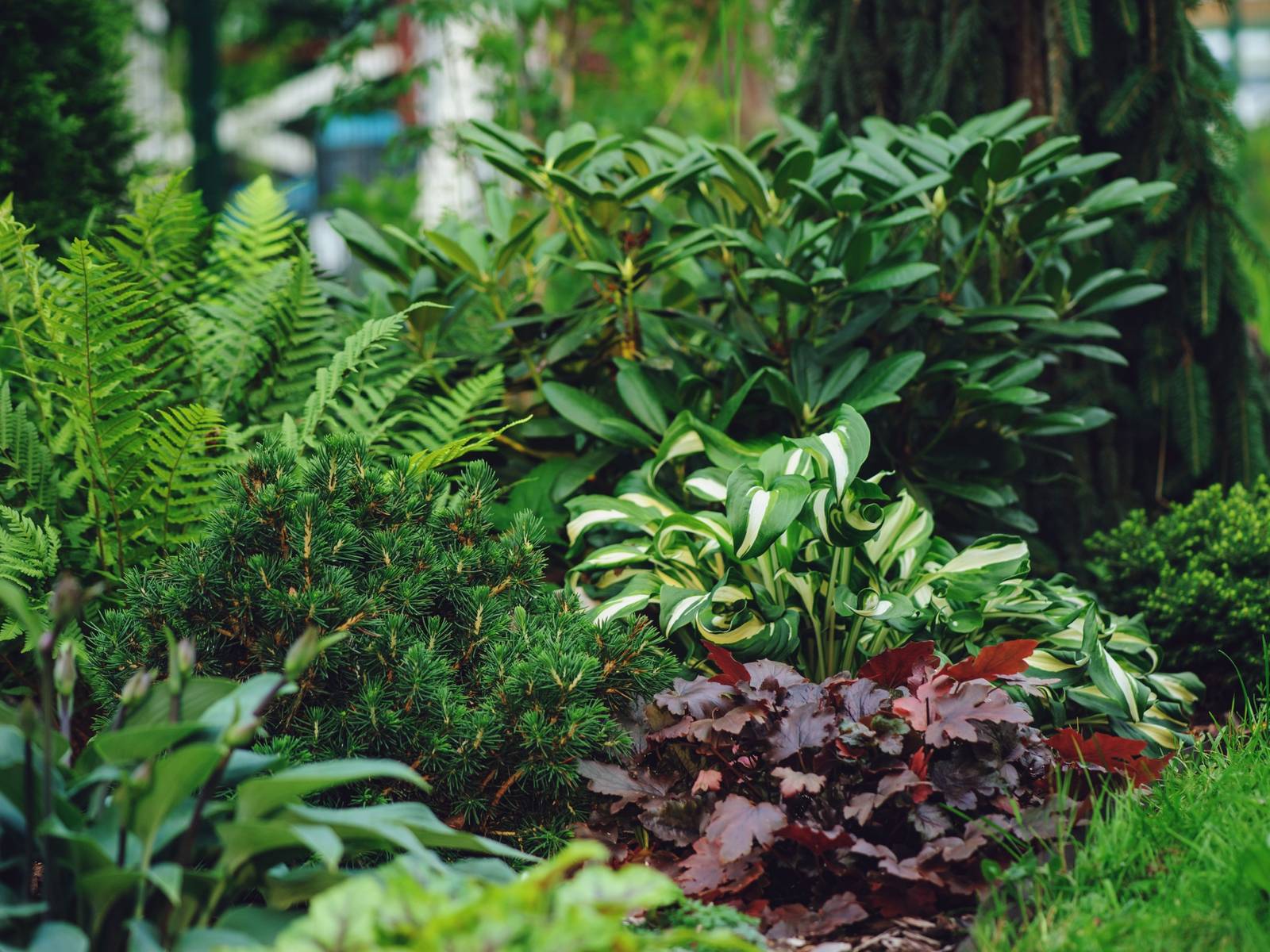 4 cotes plantes 4 SIDES