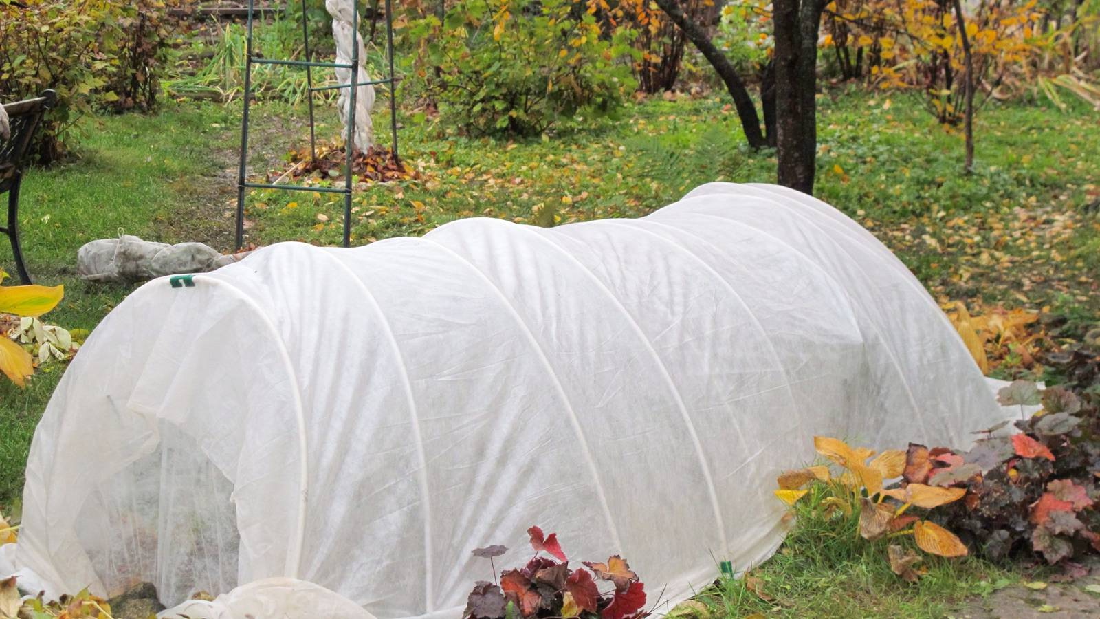 Insulate Your Garden: Keep Plants Safe During Frosty Weather