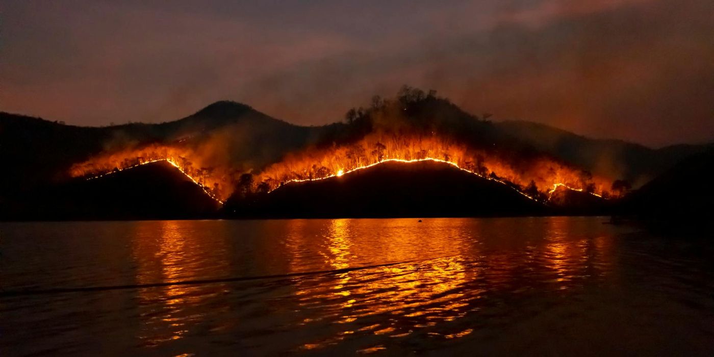 Understanding Wildfires: Natural and Human Causes Explained