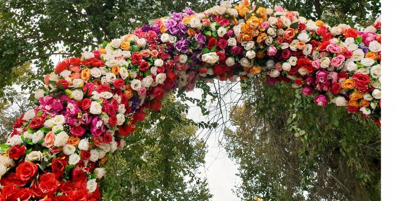 How to Create Taylor Swift's Enchanted Proposal in Your Backyard