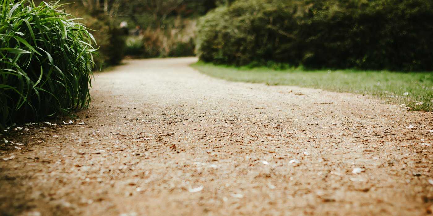 Dirt Path Pattern Landscaping Ideas: Use a Dirt Pathway for Rustic Appeal
