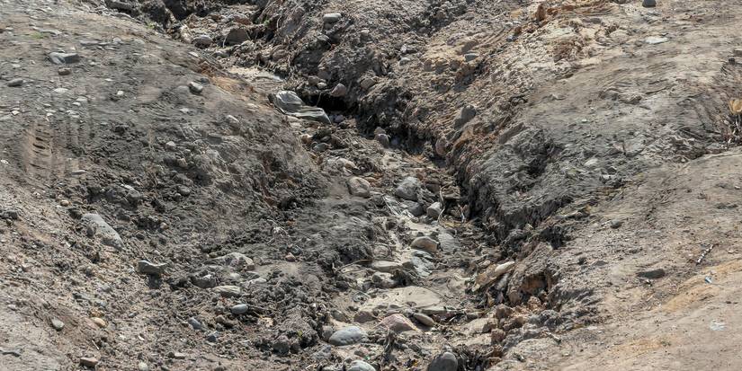 Landscaping Ideas: Use a Dirt Pathway for Rustic Appeal