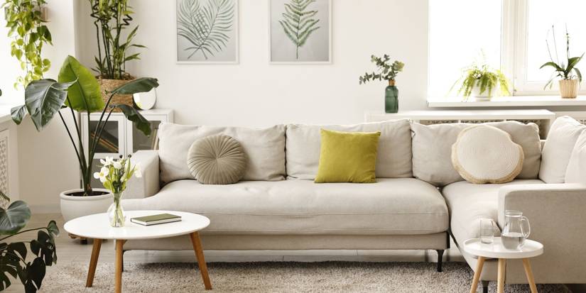 Feng Shui: Where to Place Plants to Attract Positive Energy