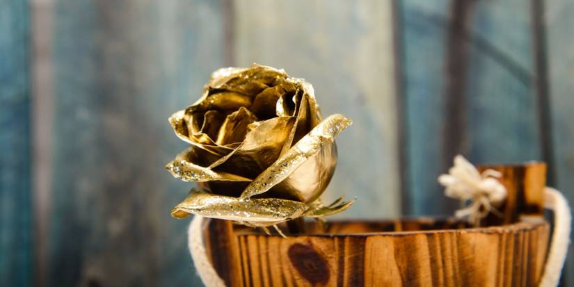 Dipped Roses: A Lasting Gift for Valentine's Day and Beyond
