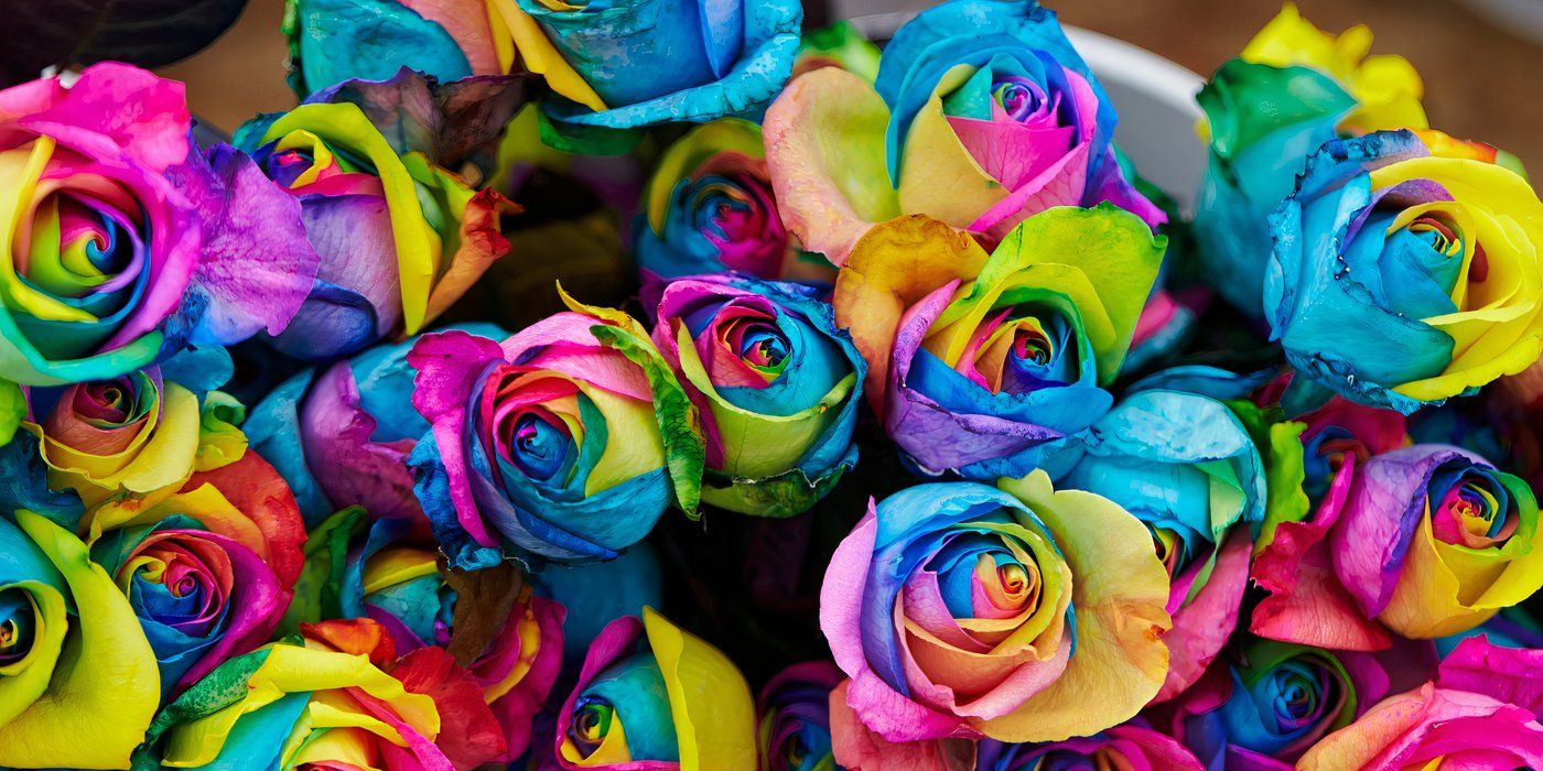 Skip the Eggs: Dye Flowers This Easter for a Stunning Twist