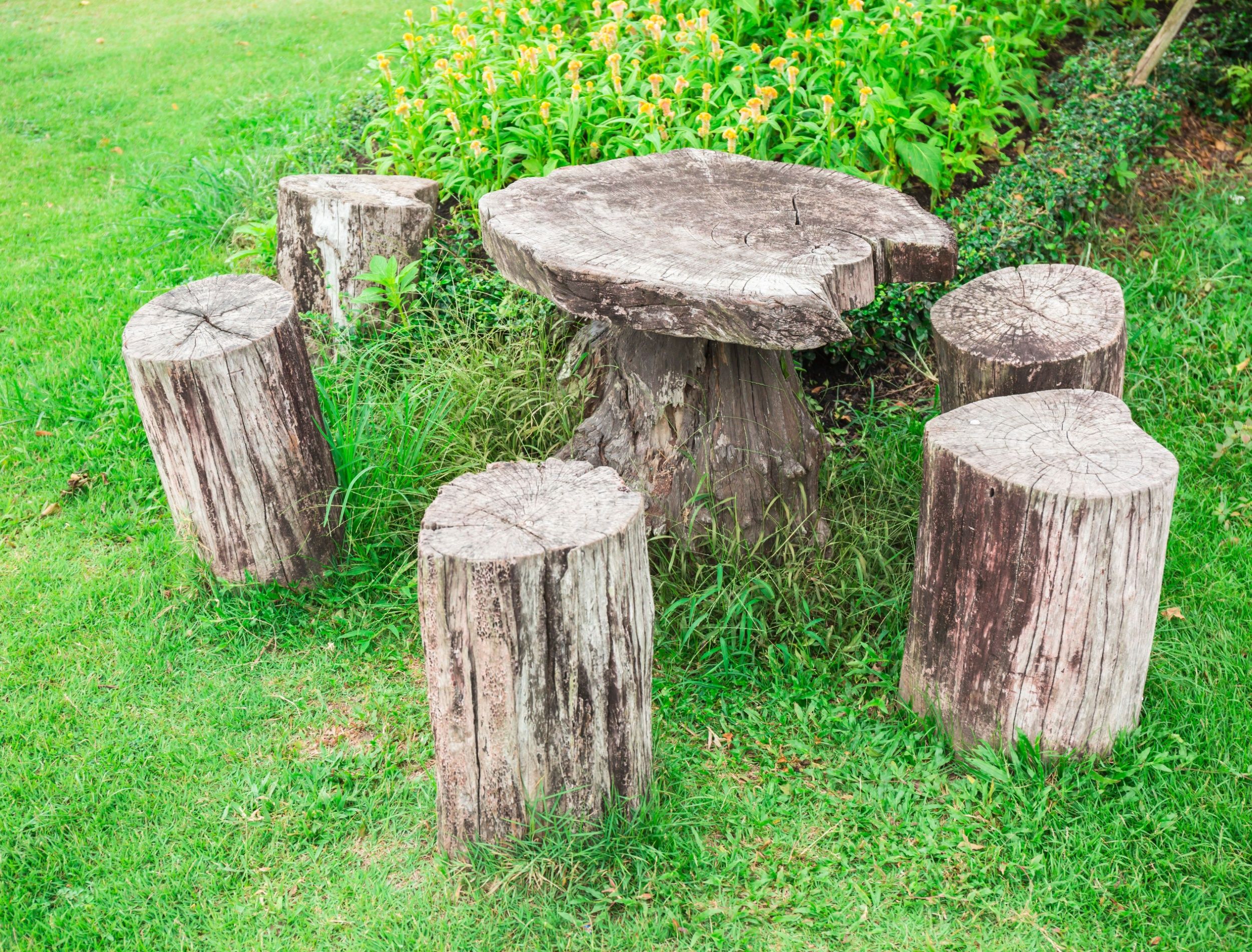 Transform Tree Stumps into Stunning Garden Features, image size:2500x1900