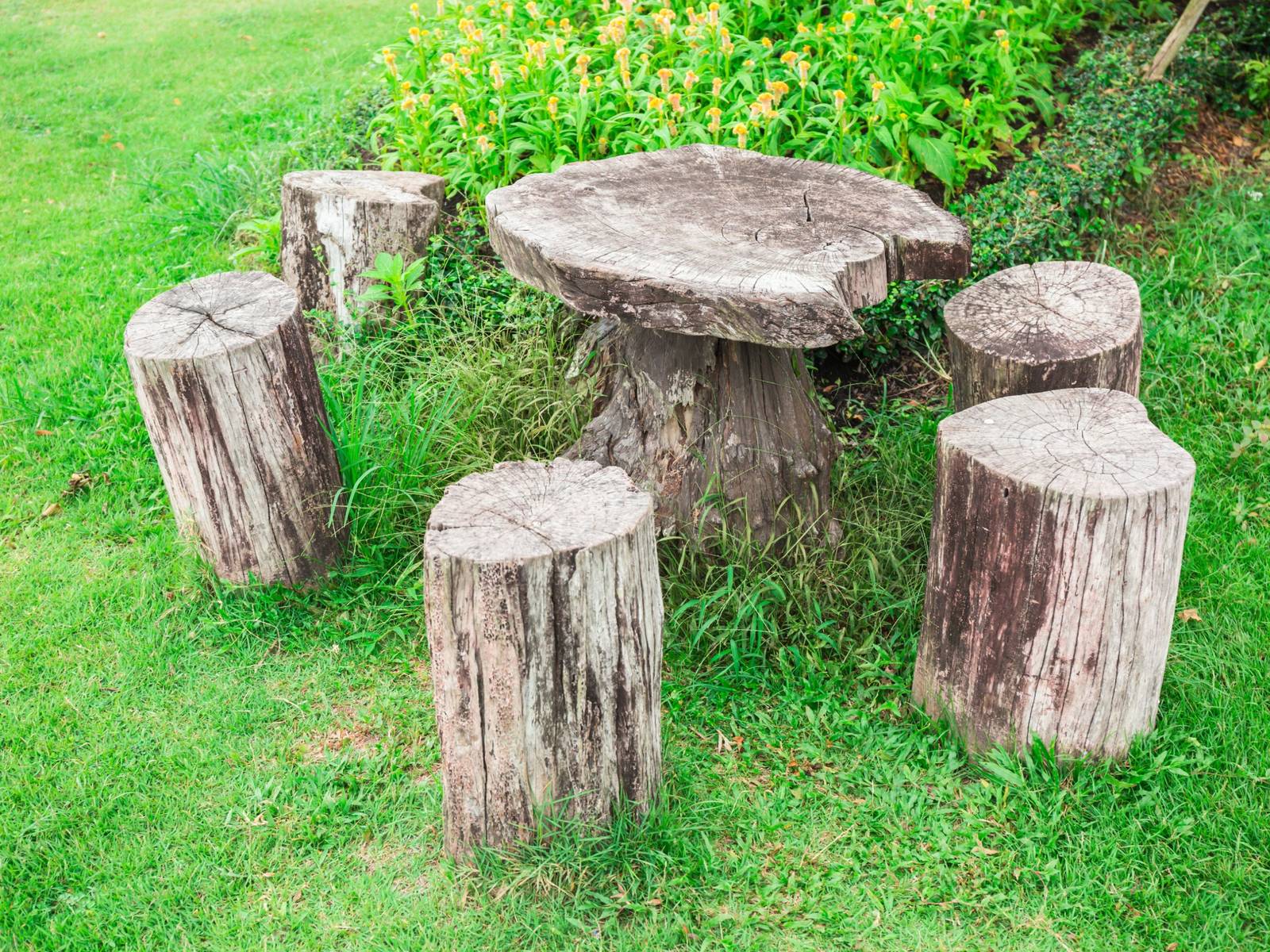 Transform Tree Stumps into Stunning Garden Features