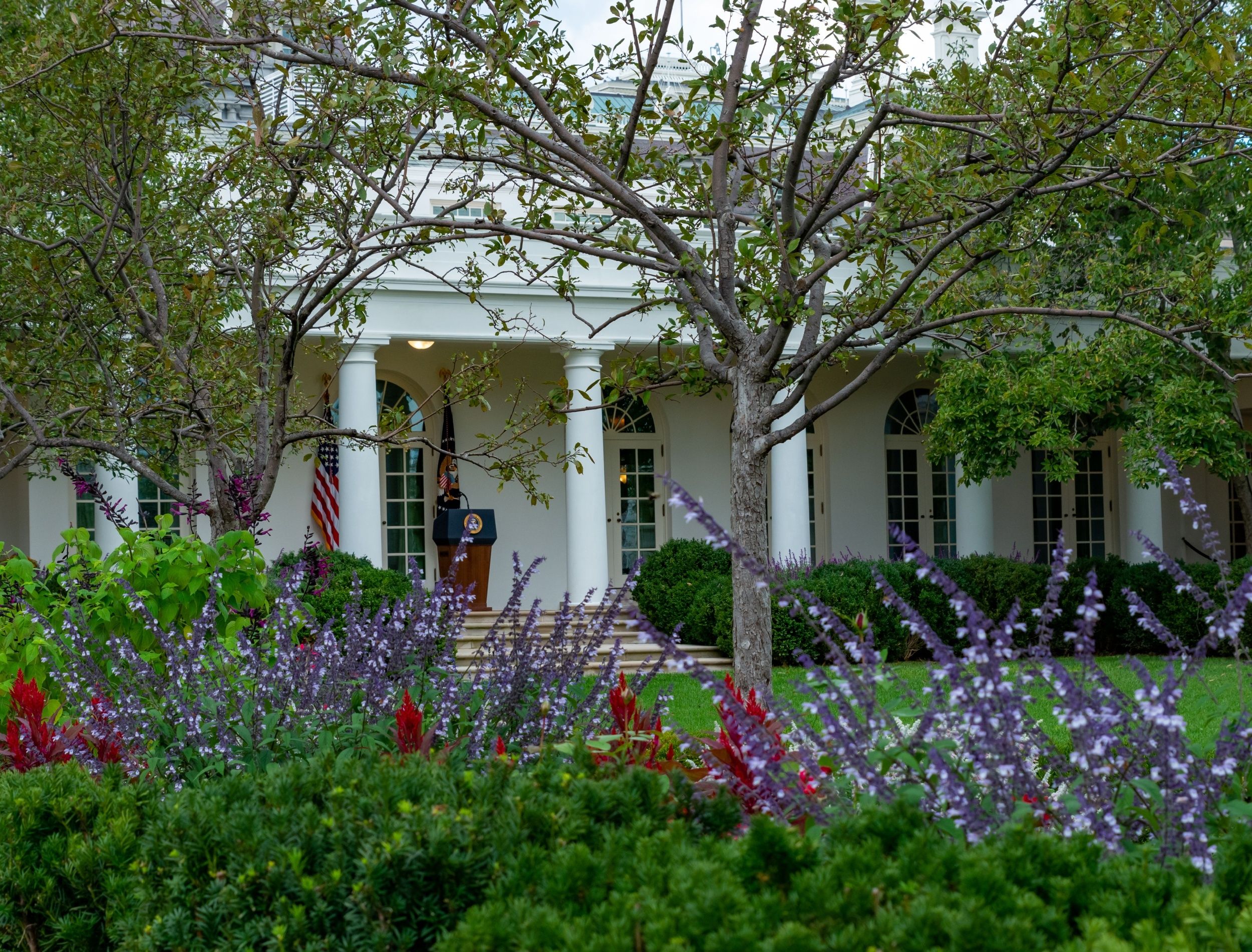 How Presidents and First Ladies Change the White House Rose Garden