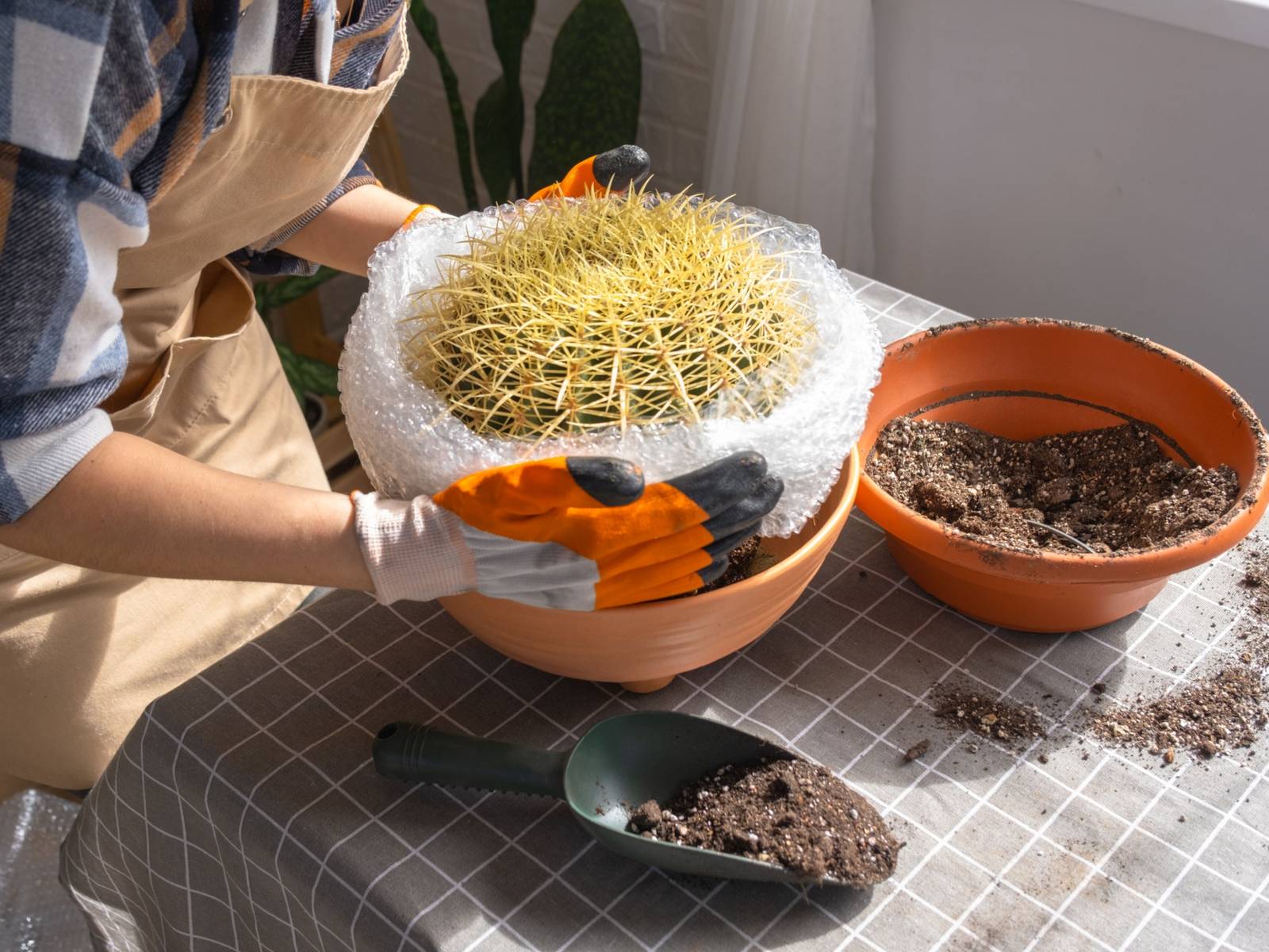 hanging plant tray Hanging Tray for Plants  Seedor