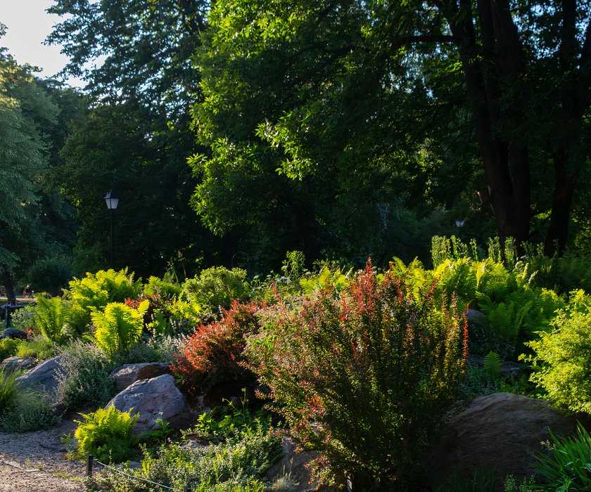Garden Ideas: Use a Mound Garden to Showcase Your Plants or Flowers