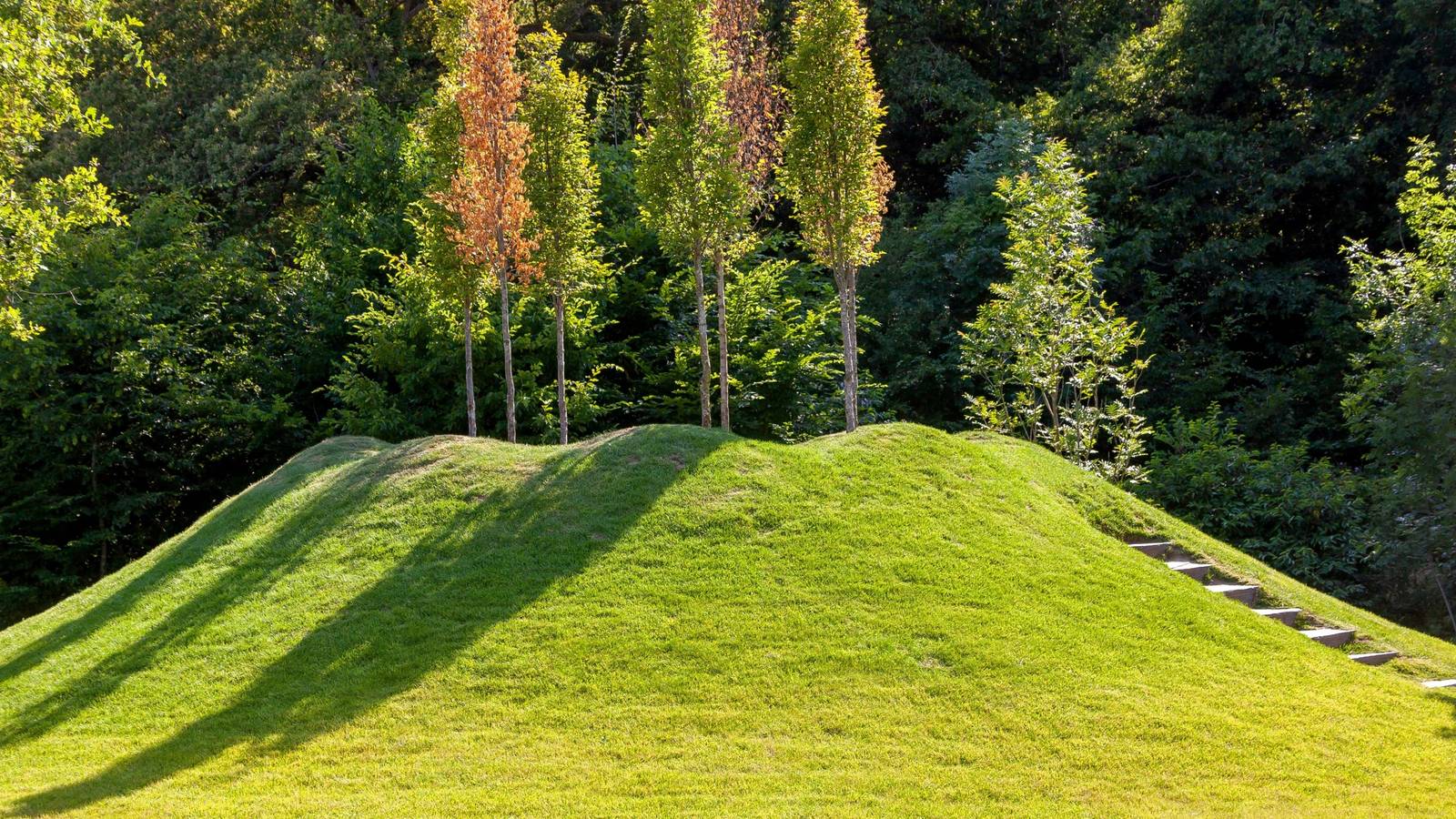 Garden Ideas: Use a Mound Garden to Showcase Your Plants or Flowers