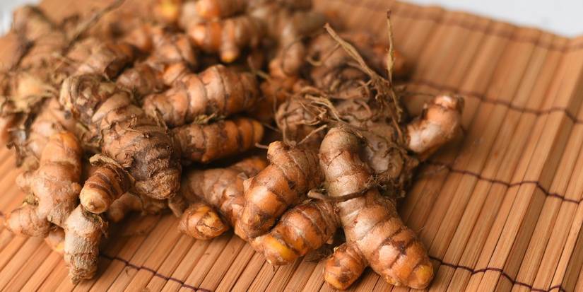Best Herbs and Spices to Grow for International Cuisine