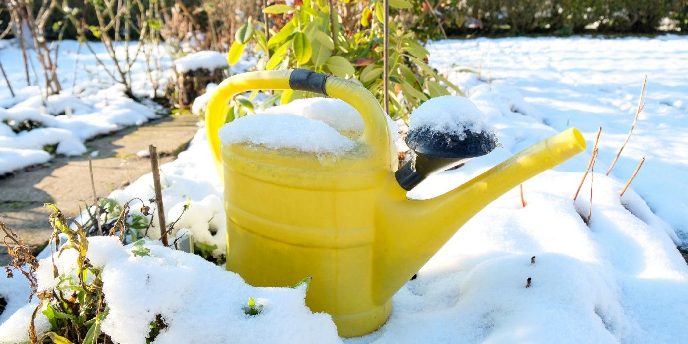 https://static0.backyardbossimages.com/wordpress/wp-content/uploads/2025/02/watering-can-in-the-winter.jpg?dpr=1&fit=contain&h=422&q=70&w=750