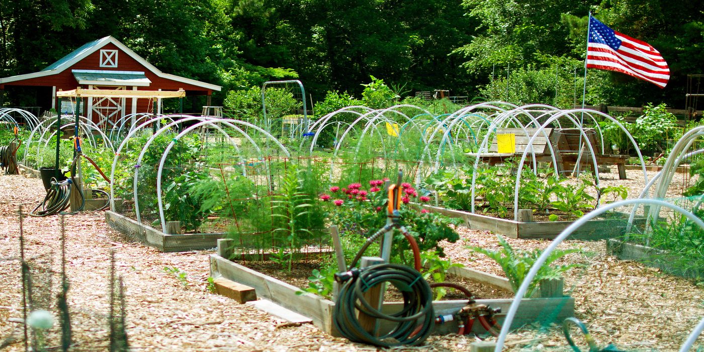Creative Ways to Use Garden Flags to Elevate Your Outdoor Space